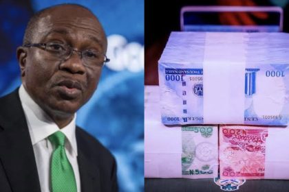 FDDCE56D C3ED 48DF BE23 FFAD77209968 Every day, new naira notes worth N30 million are delivered to bank branches: CBN
