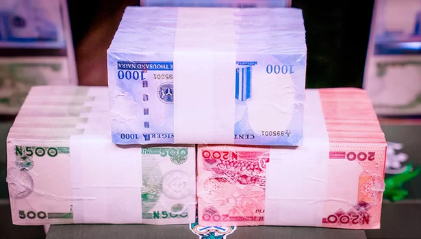 New Naira Naira Redesign: CBN Collected N3.2tn, Printed Only N402bn – Falana
